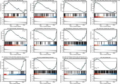 ATP6AP1 is a potential prognostic biomarker and is associated with iron metabolism in breast cancer